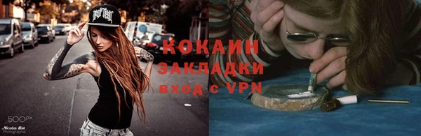 трава Сатка