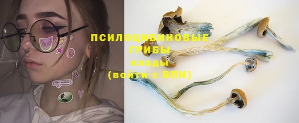 дурь Володарск