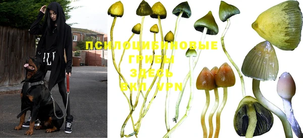 дурь Володарск