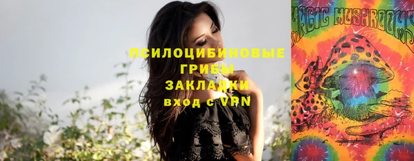 дурь Володарск