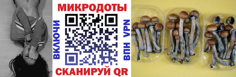 даркнет официальный сайт  Первомайск  Галлюциногенные грибы Cubensis 